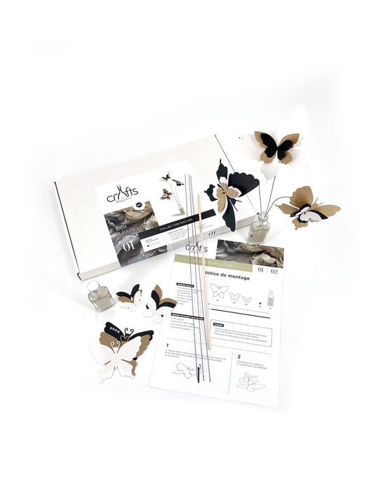 Box of 3 Paper Butterflies - Nature Collection