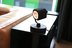 Corduroy - Spot on base