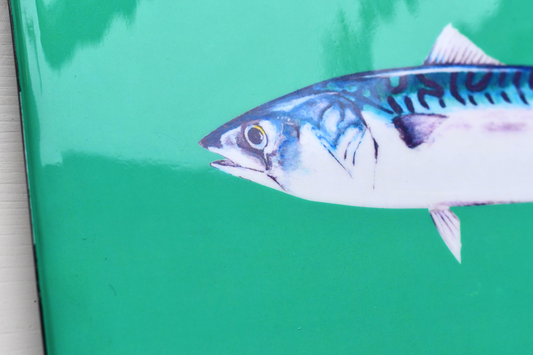 Enamel tray 40X25 cm - Mackerel design