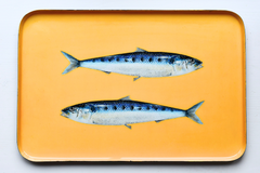 Enamel tray - Sardine design