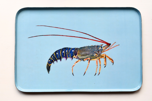 Enamel tray  40X25 cm - Spiny Lobster design